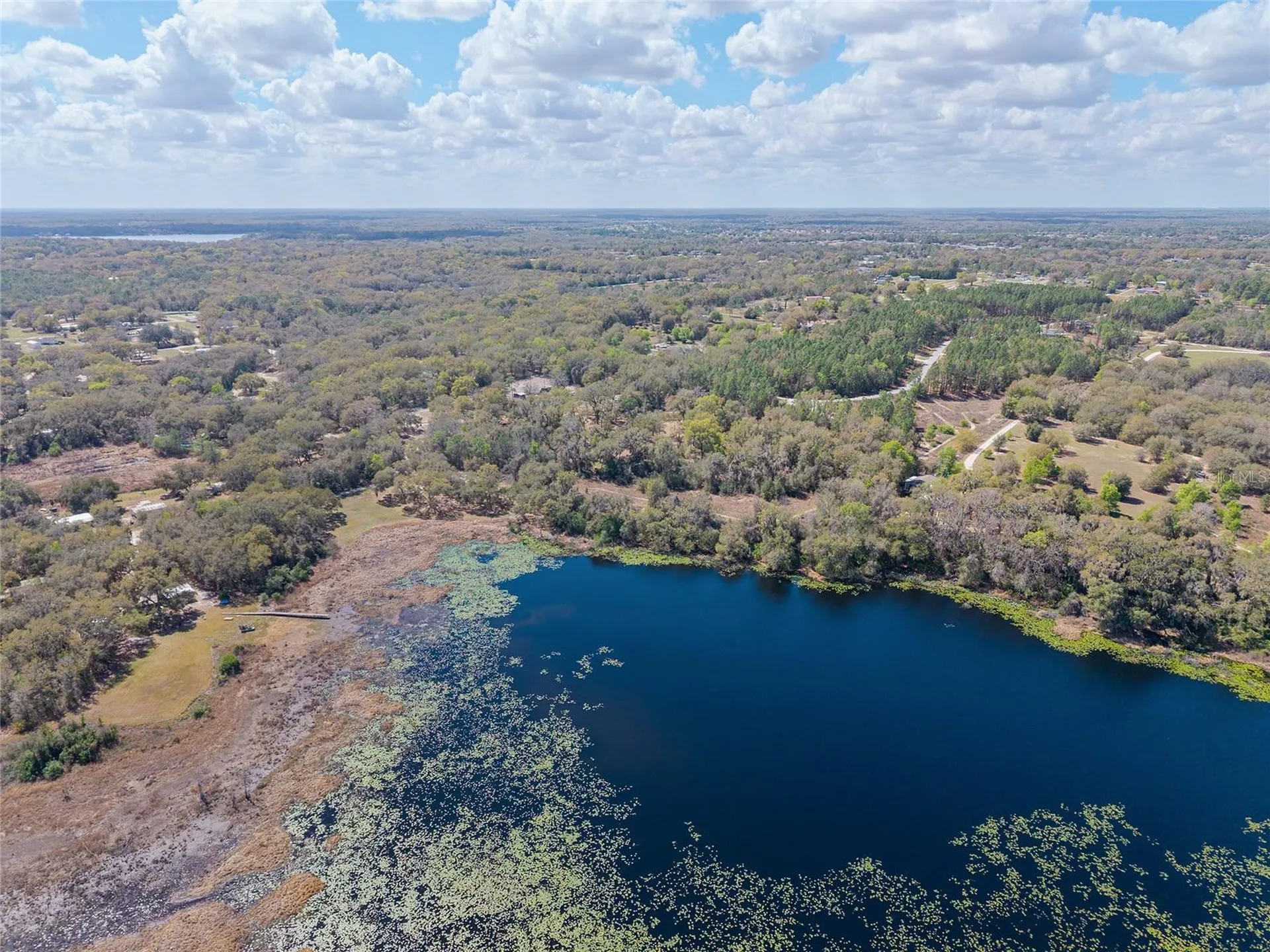 11990 SE 112th Avenue Road Belleview FL 34420