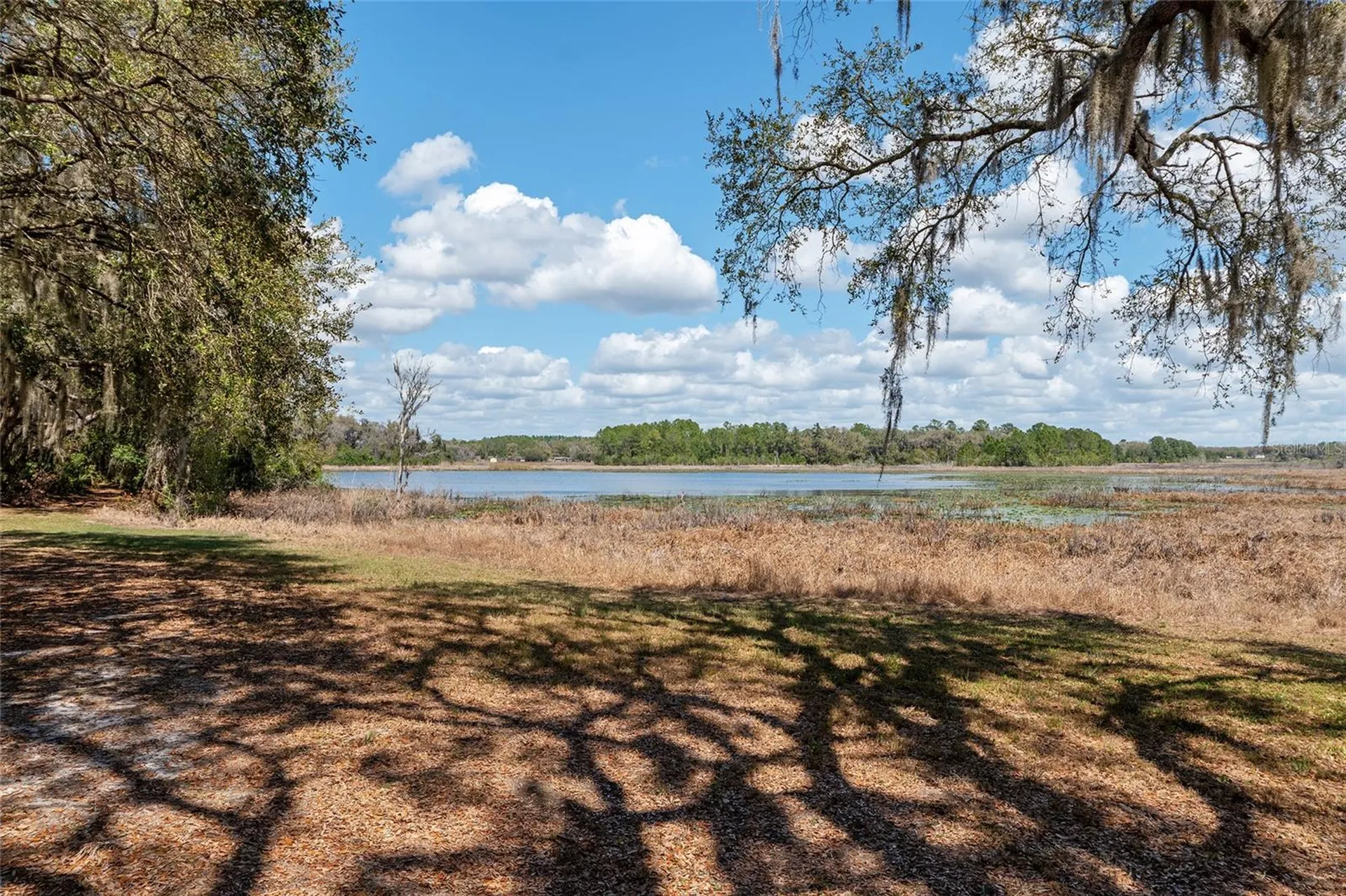 11990 SE 112th Avenue Road Belleview FL 34420