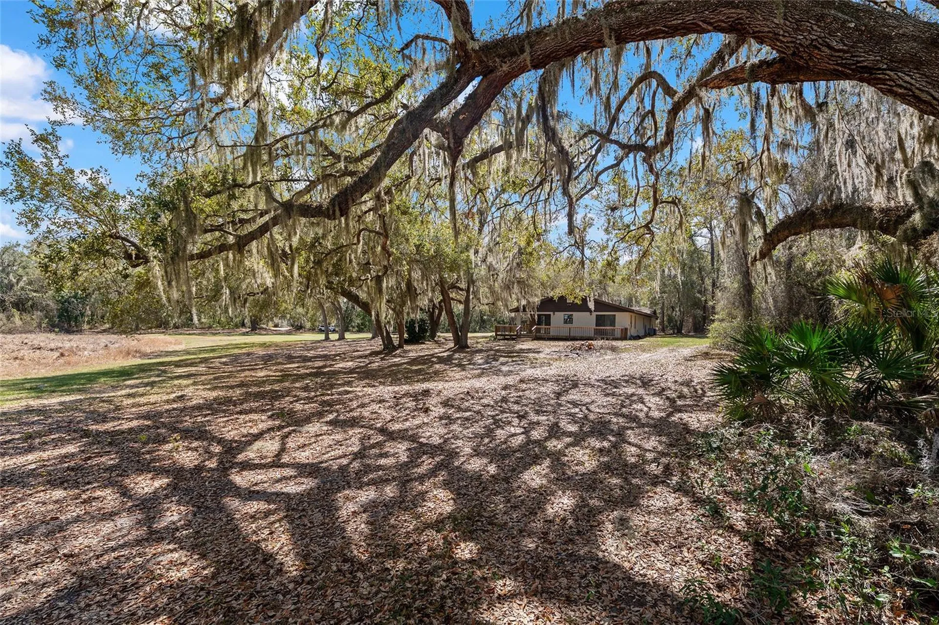 11990 SE 112th Avenue Road Belleview FL 34420