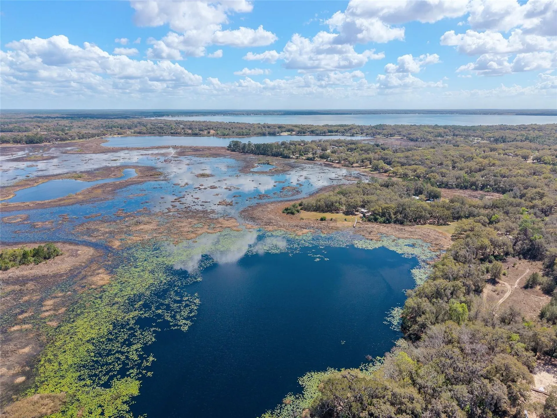 11990 SE 112th Avenue Road Belleview FL 34420