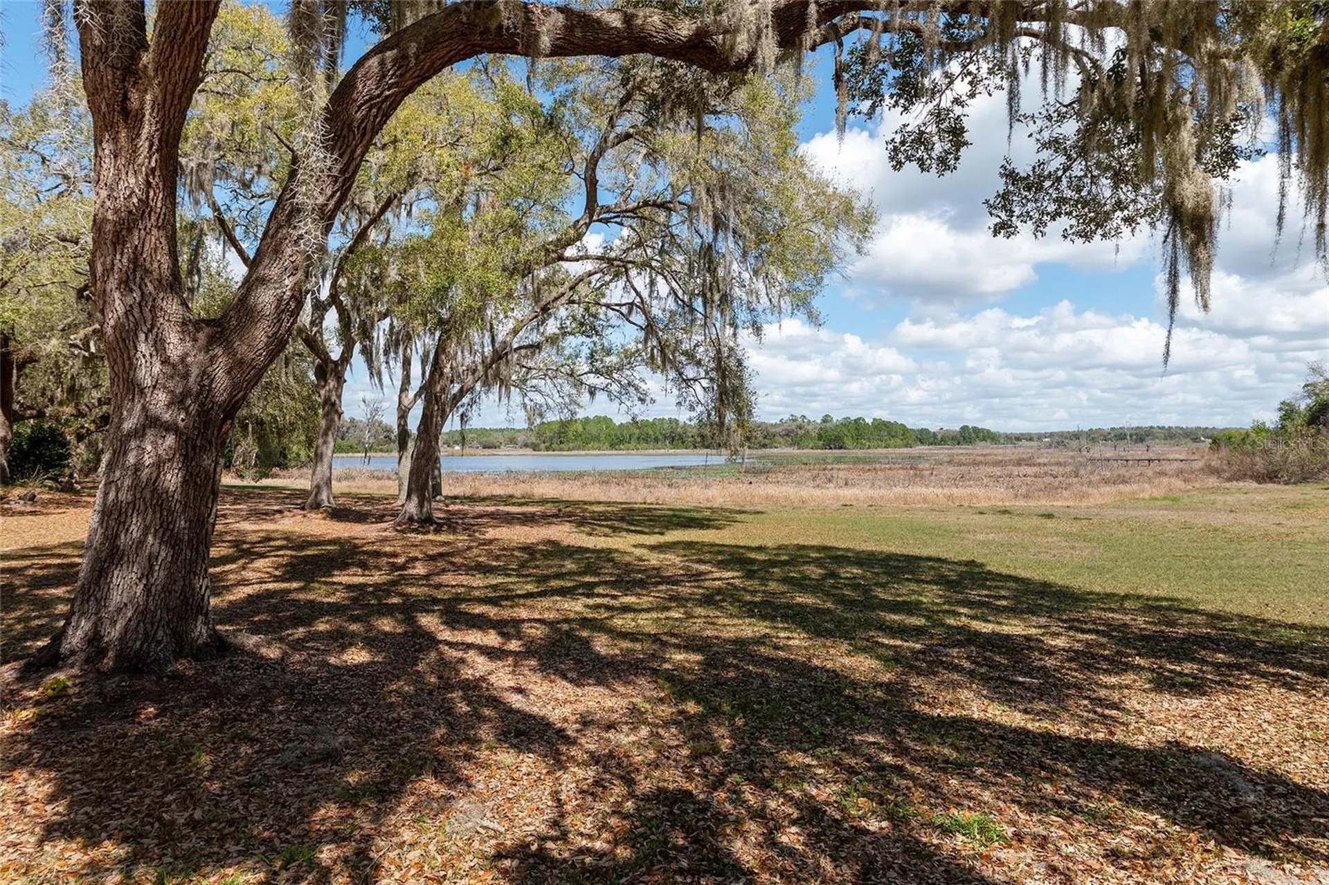 11990 SE 112th Avenue Road Belleview FL 34420