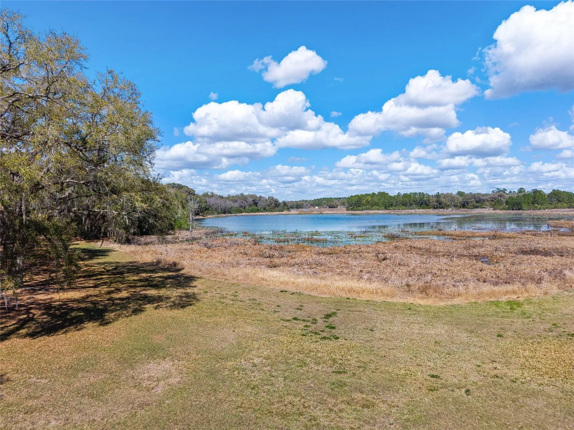 11990 SE 112th Avenue Road Belleview FL 34420