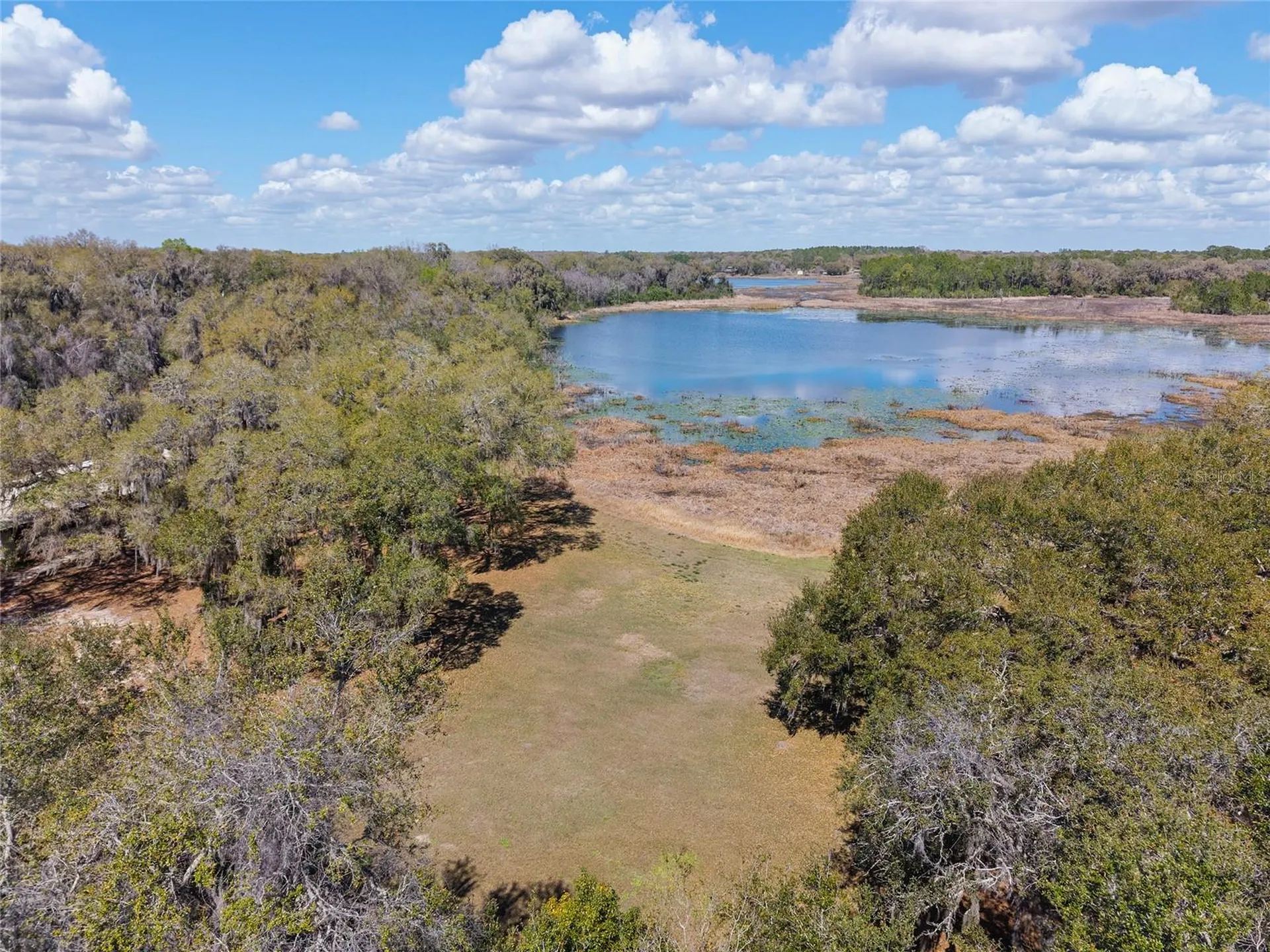 11990 SE 112th Avenue Road Belleview FL 34420