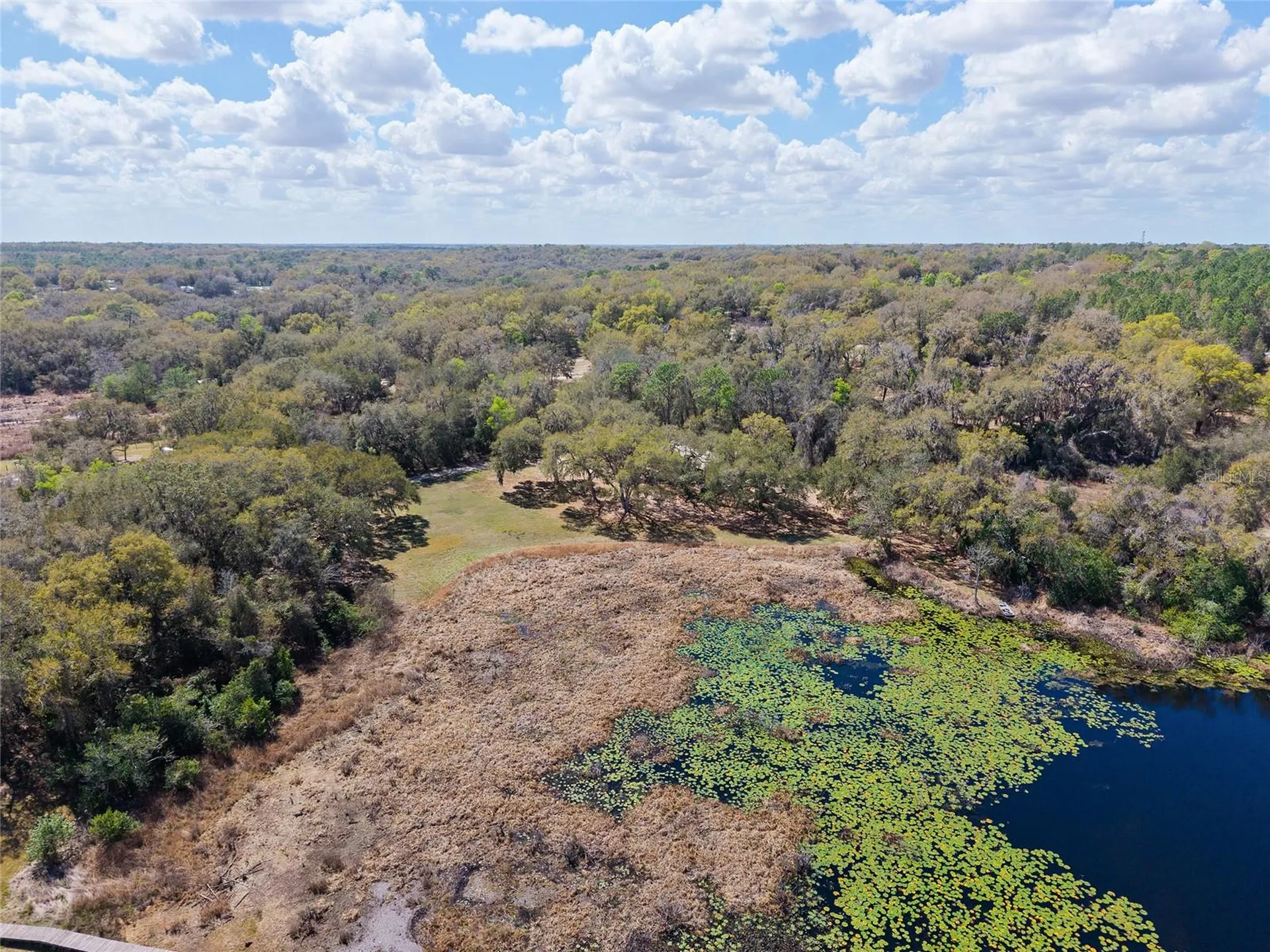 11990 SE 112th Avenue Road Belleview FL 34420