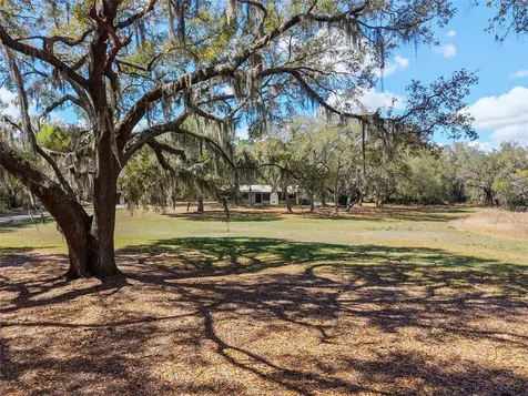 11990 SE 112th Avenue Road Belleview FL 34420