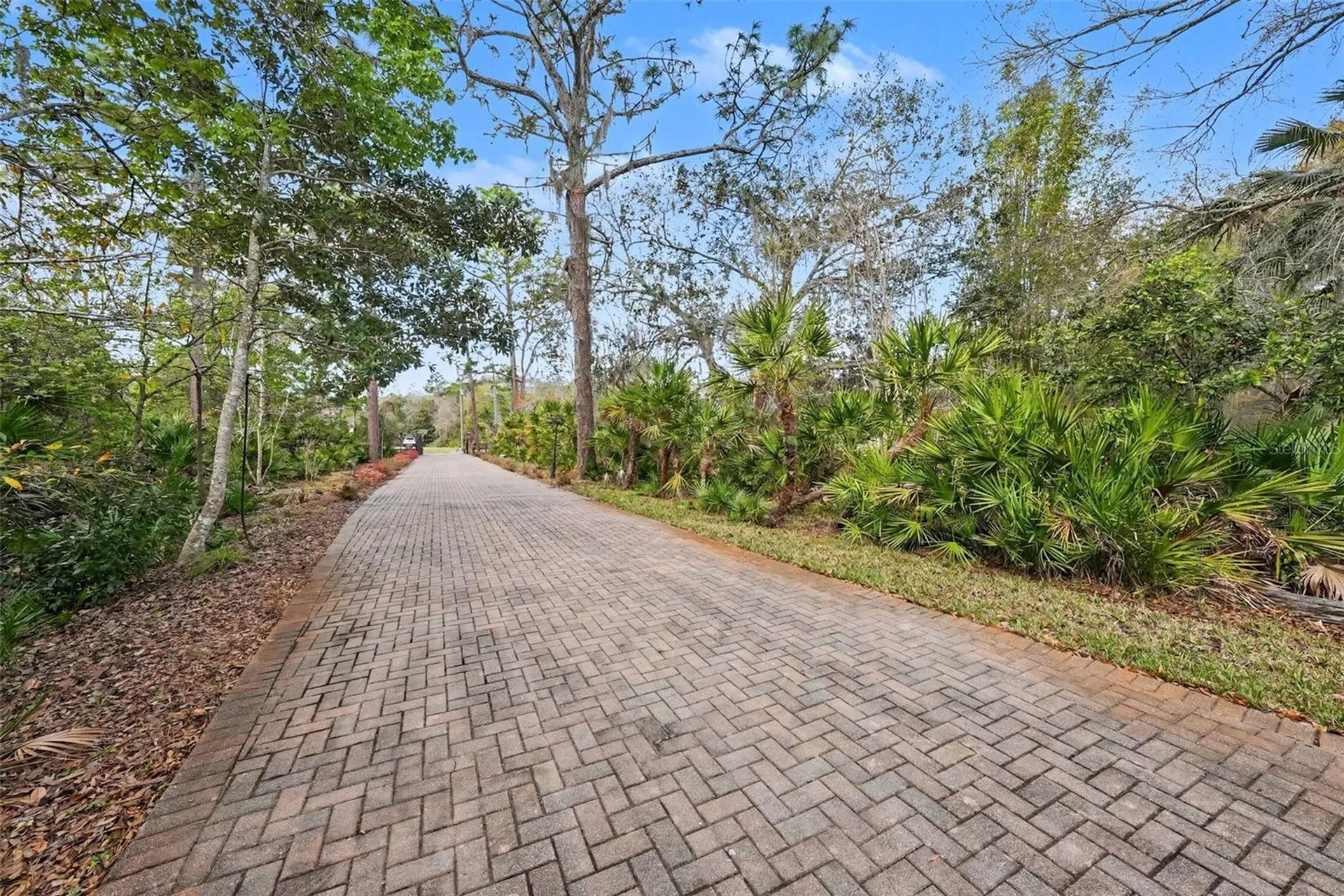 10823 Alico Pass New Port Richey FL 34655