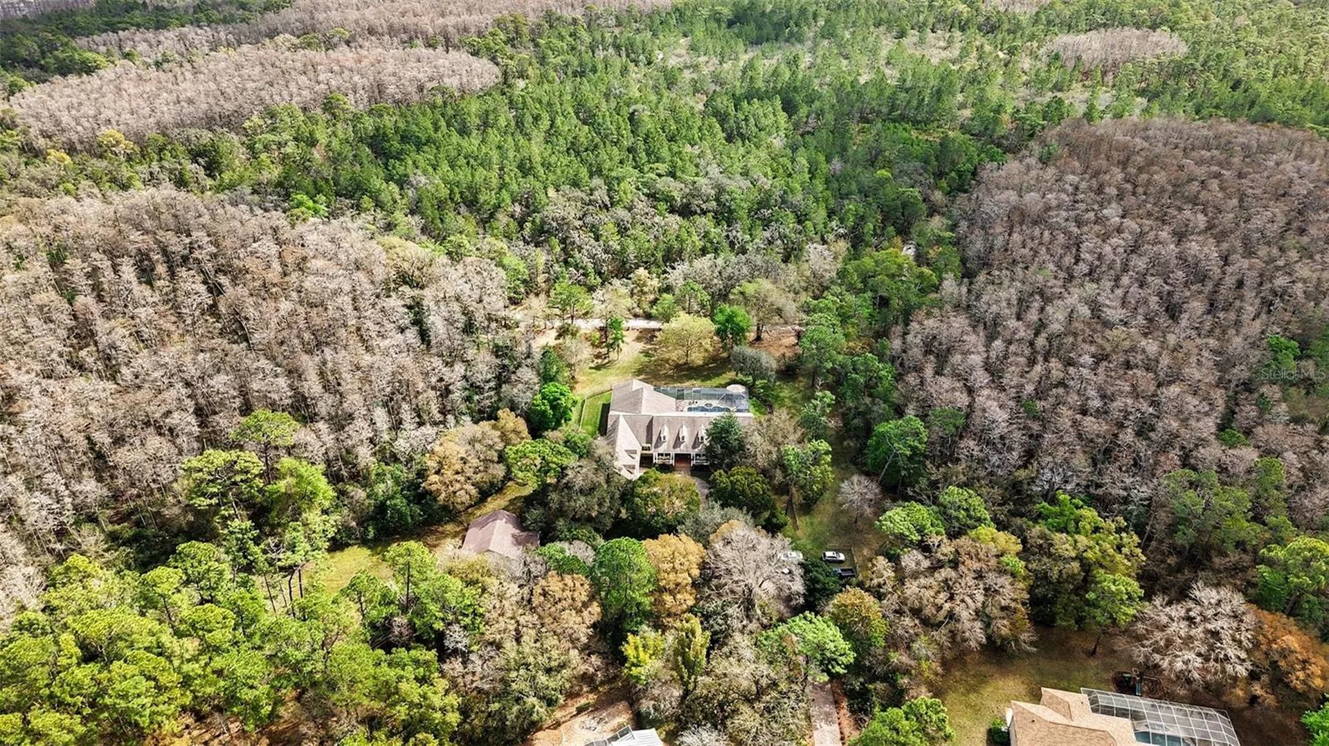 10823 Alico Pass New Port Richey FL 34655