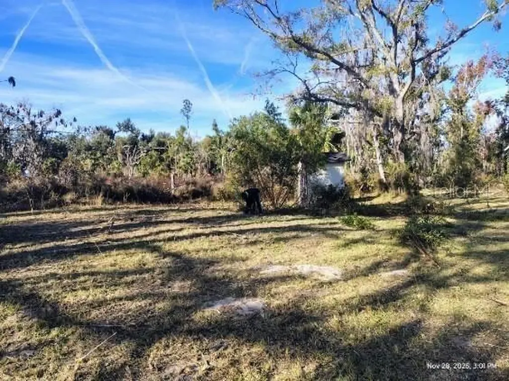 823 S Warner Avenue Perry FL 32348