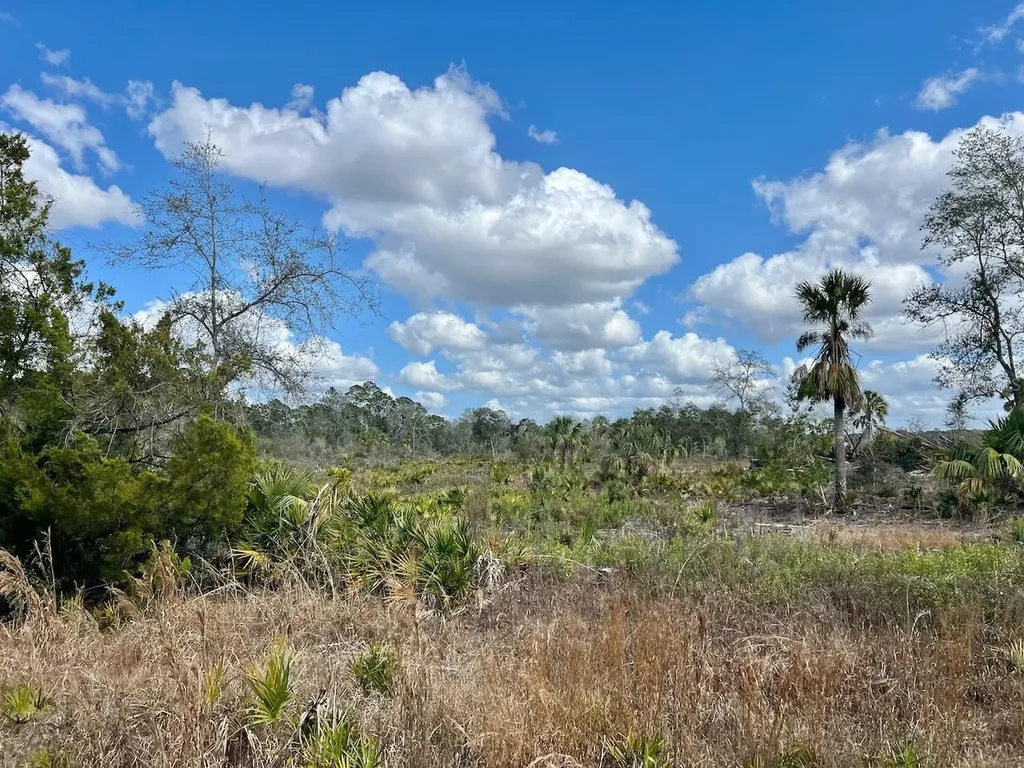 Shiloh Road Cedar Key FL 32625