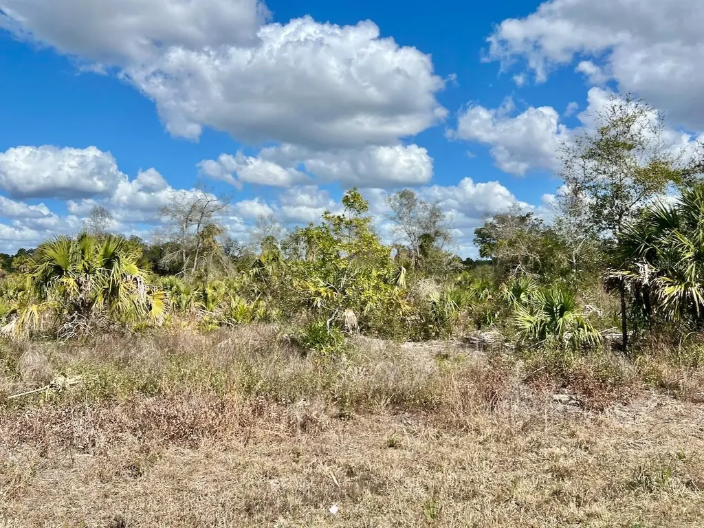Shiloh Road Cedar Key FL 32625