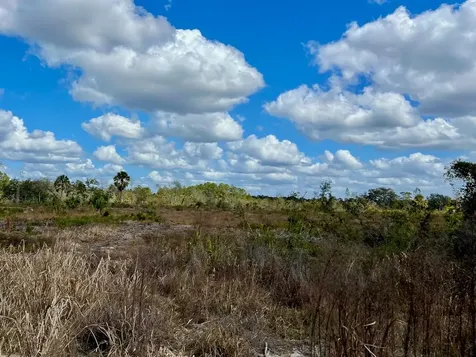 Shiloh Road Cedar Key FL 32625