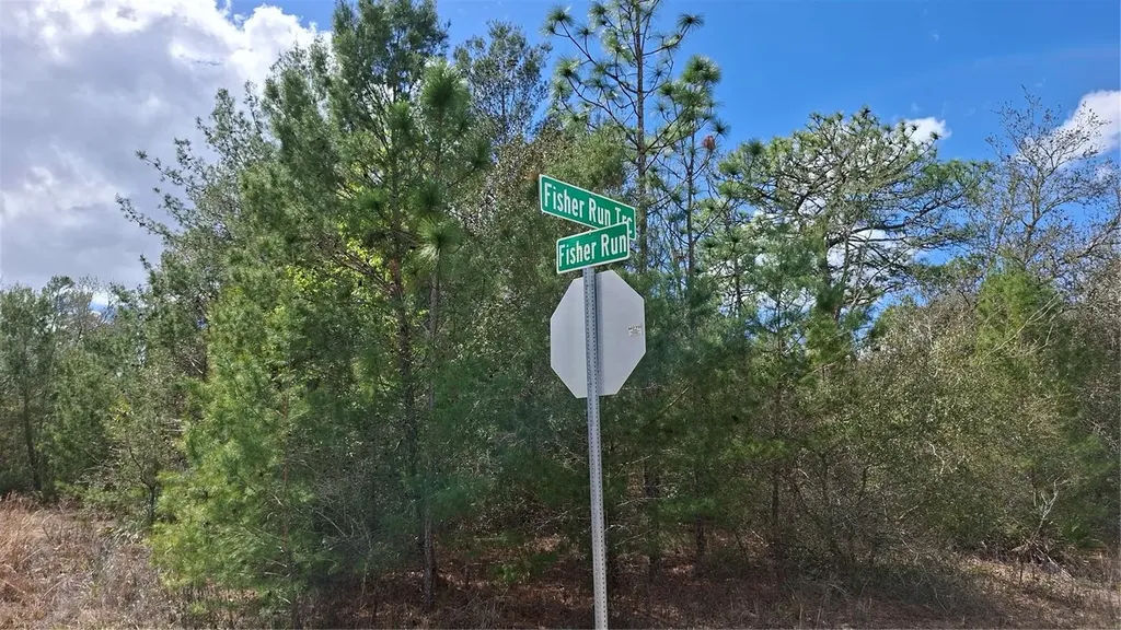 Fisher Run Ocklawaha FL 32183