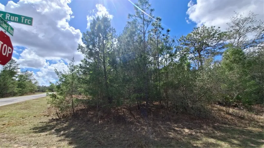 Fisher Run Ocklawaha FL 32183