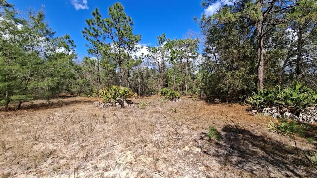 Fisher Run Ocklawaha FL 32183