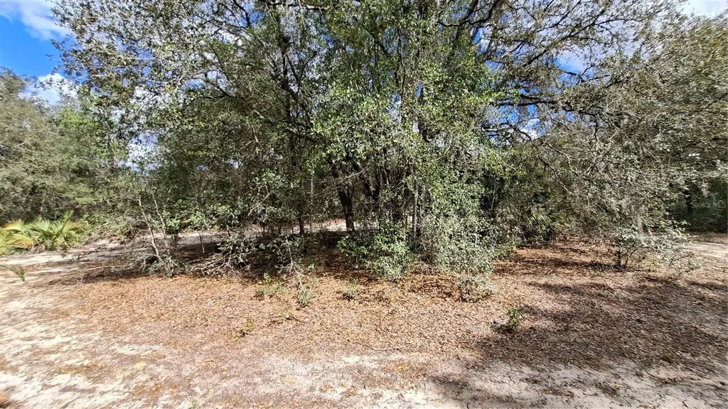 Fisher Run Ocklawaha FL 32183