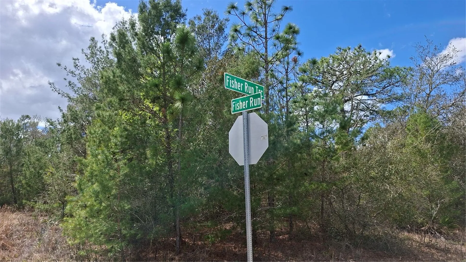 Fisher Run Ocklawaha FL 32183