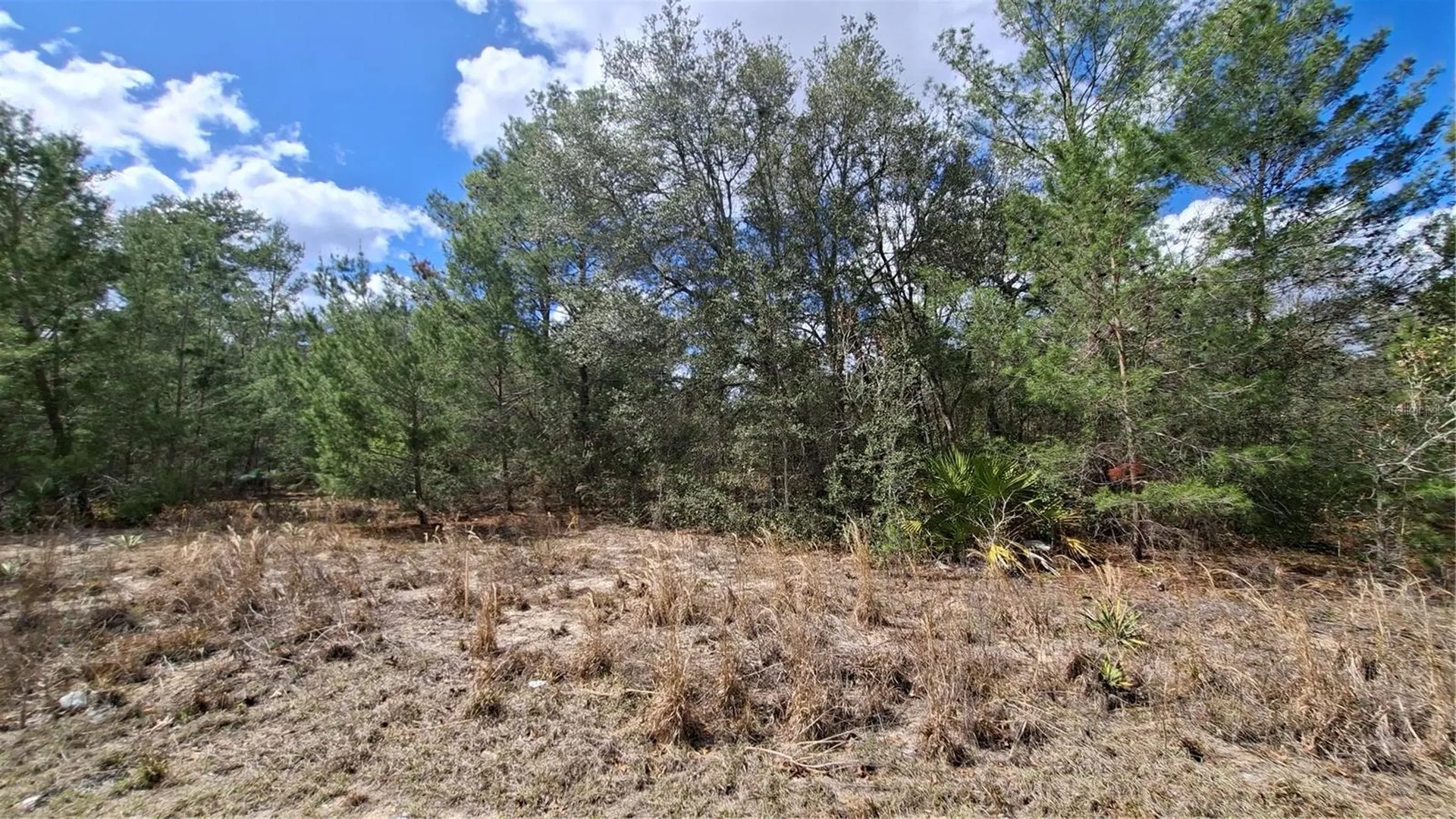 Fisher Run Ocklawaha FL 32183