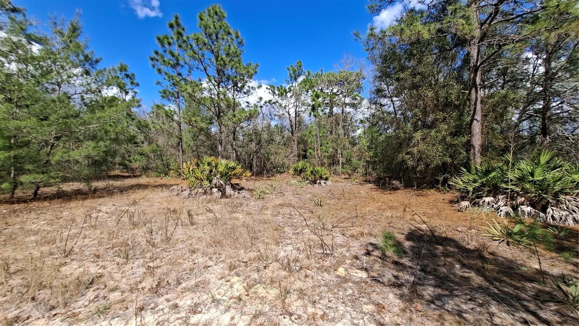 Fisher Run Ocklawaha FL 32183