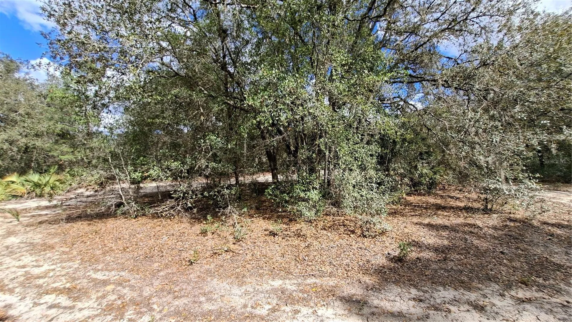 Fisher Run Ocklawaha FL 32183