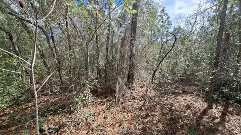 Fisher Run Ocklawaha FL 32183