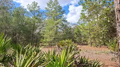 Fisher Run Ocklawaha FL 32183