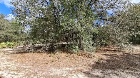Fisher Run Ocklawaha FL 32183