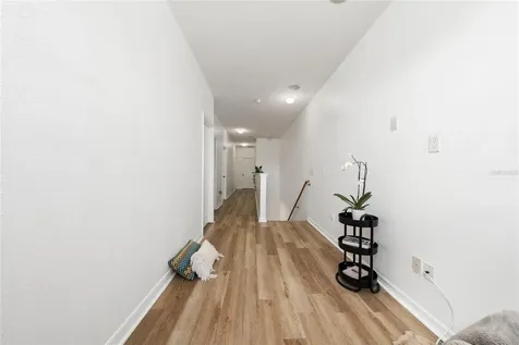 14200 Oasis Cove Boulevard Windermere FL 34786