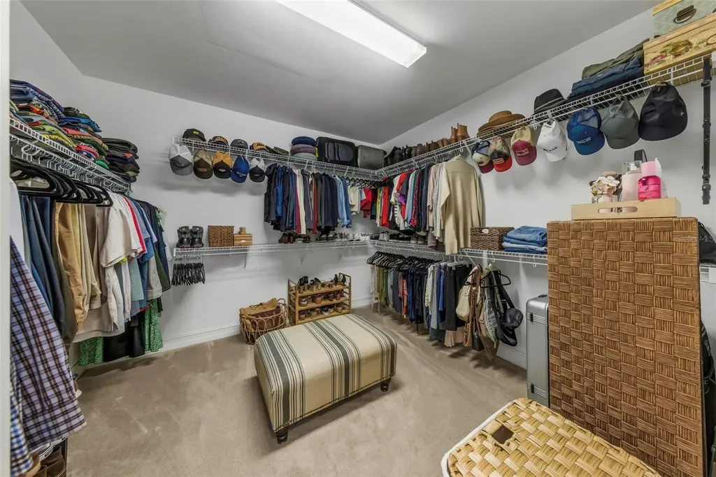 29494 Picana Lane Wesley Chapel FL 33543