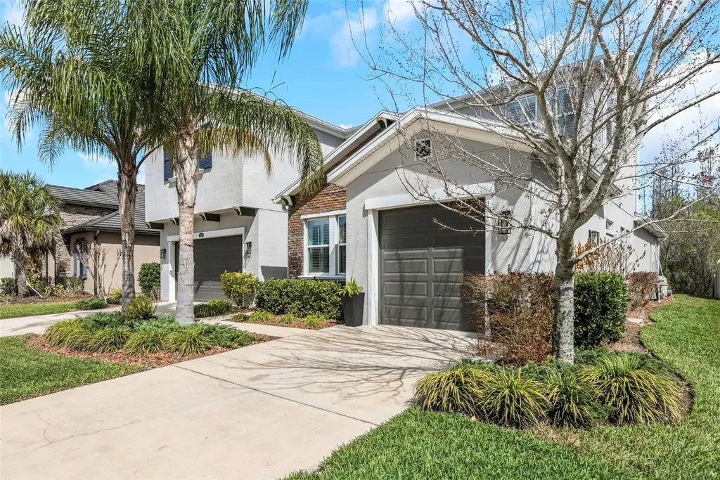 29494 Picana Lane Wesley Chapel FL 33543
