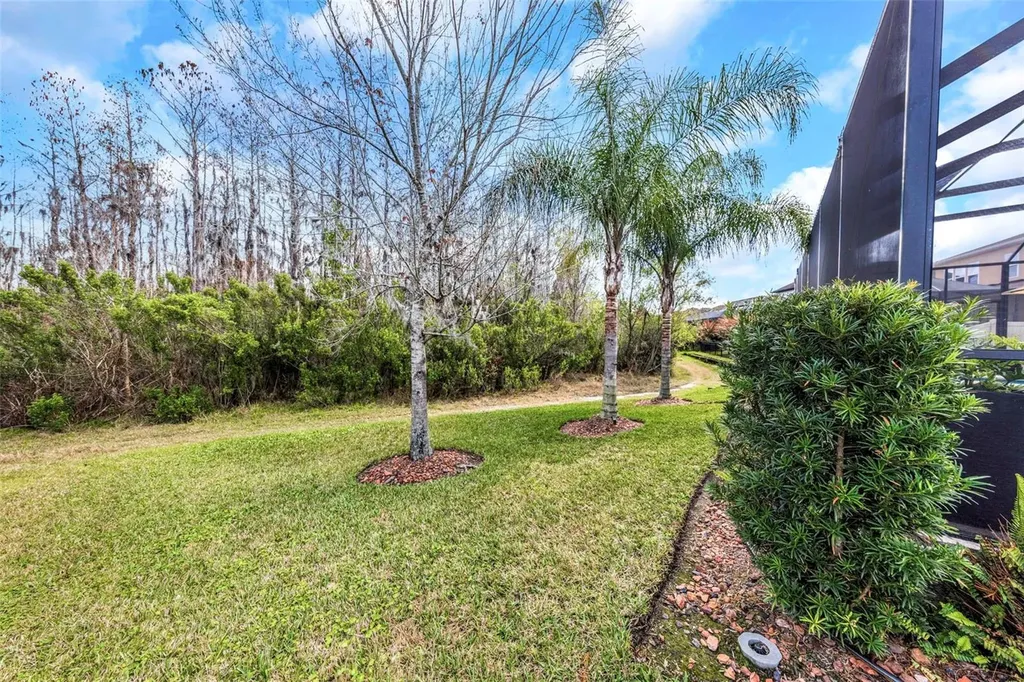 29494 Picana Lane Wesley Chapel FL 33543