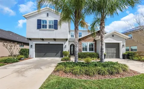 29494 Picana Lane Wesley Chapel FL 33543