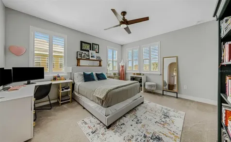 29494 Picana Lane Wesley Chapel FL 33543