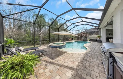 29494 Picana Lane Wesley Chapel FL 33543