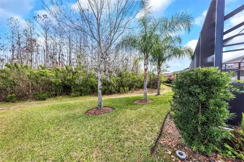 29494 Picana Lane Wesley Chapel FL 33543