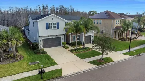 29494 Picana Lane Wesley Chapel FL 33543