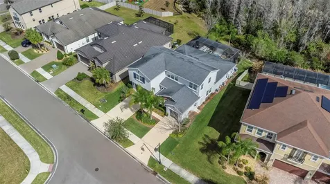 29494 Picana Lane Wesley Chapel FL 33543