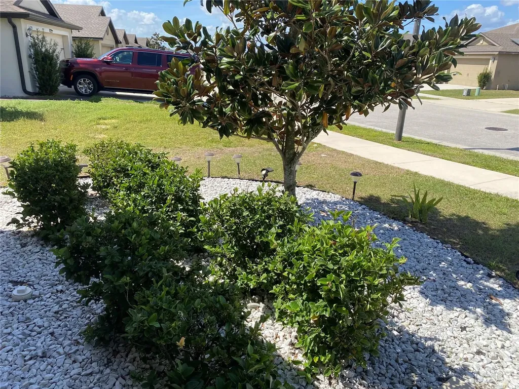 1919 Amber Sweet Circle Dundee FL 33838