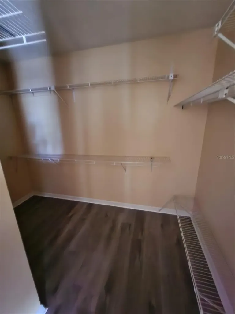 8748 Hampden Drive Tampa FL 33626
