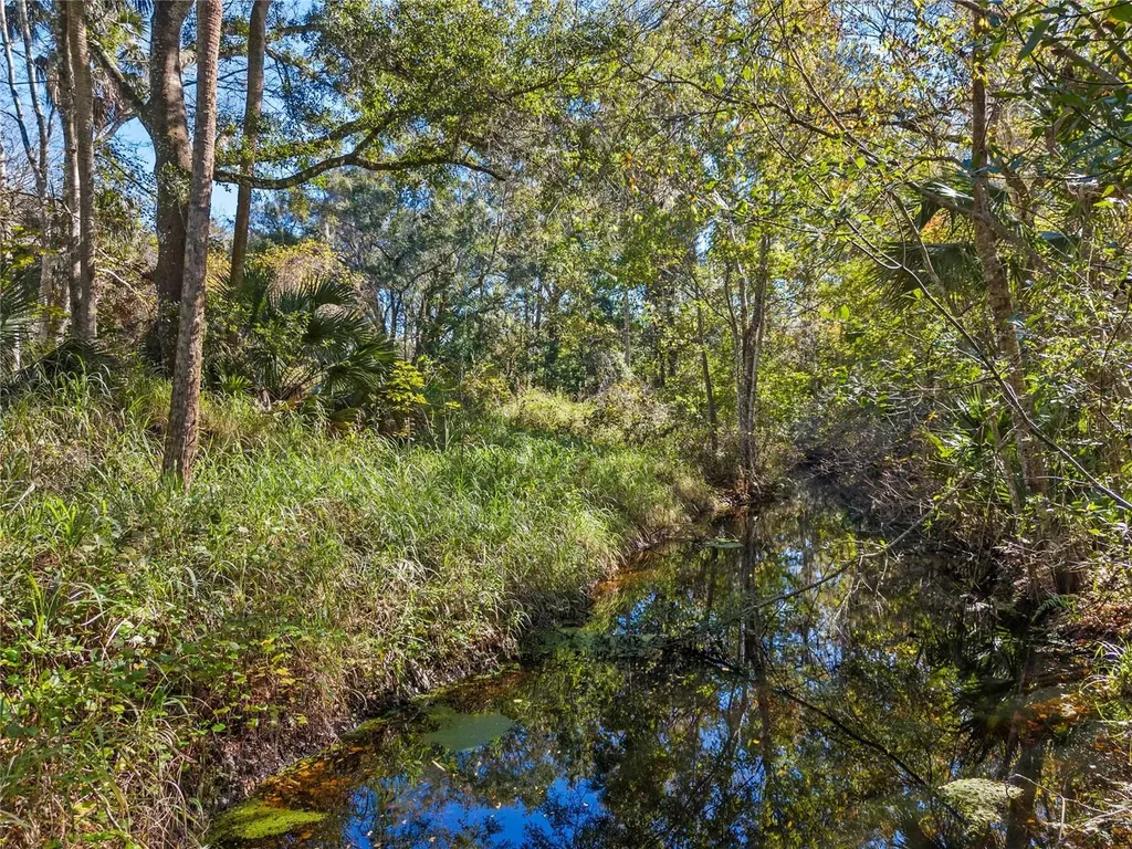 13524 Corkwood Lane Astatula FL 34705
