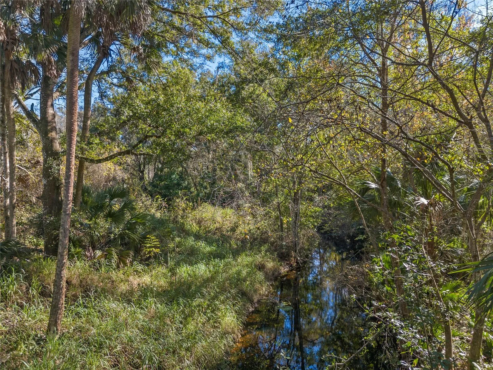 13524 Corkwood Lane Astatula FL 34705