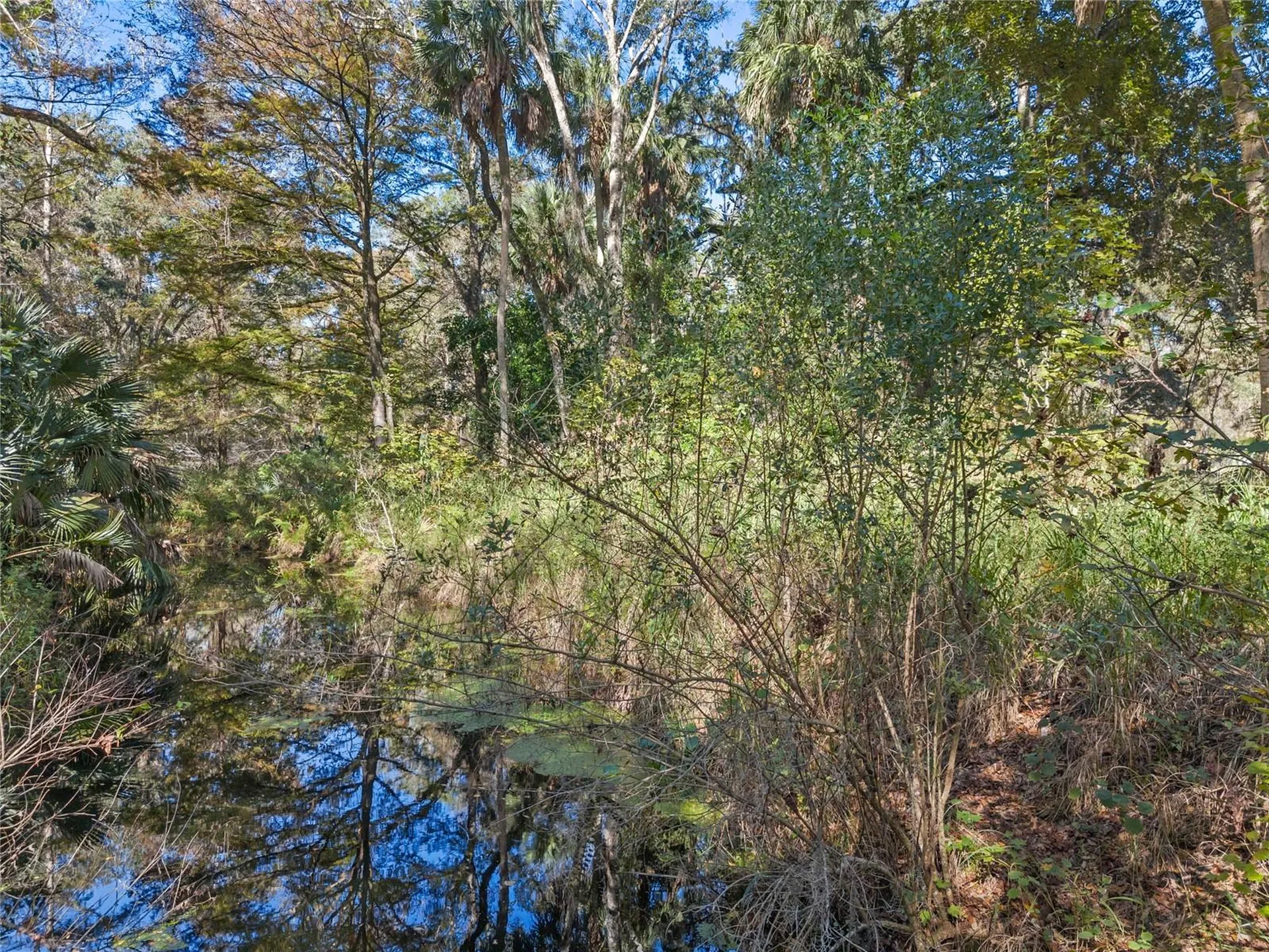 13524 Corkwood Lane Astatula FL 34705