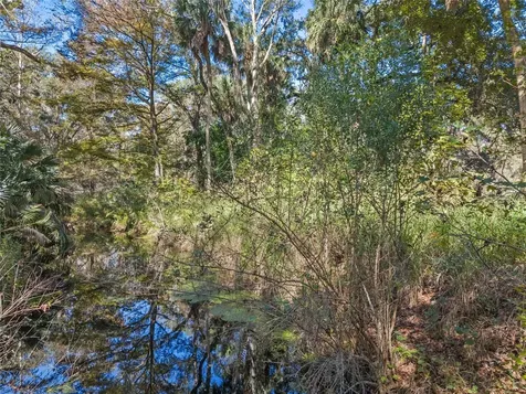 13524 Corkwood Lane Astatula FL 34705