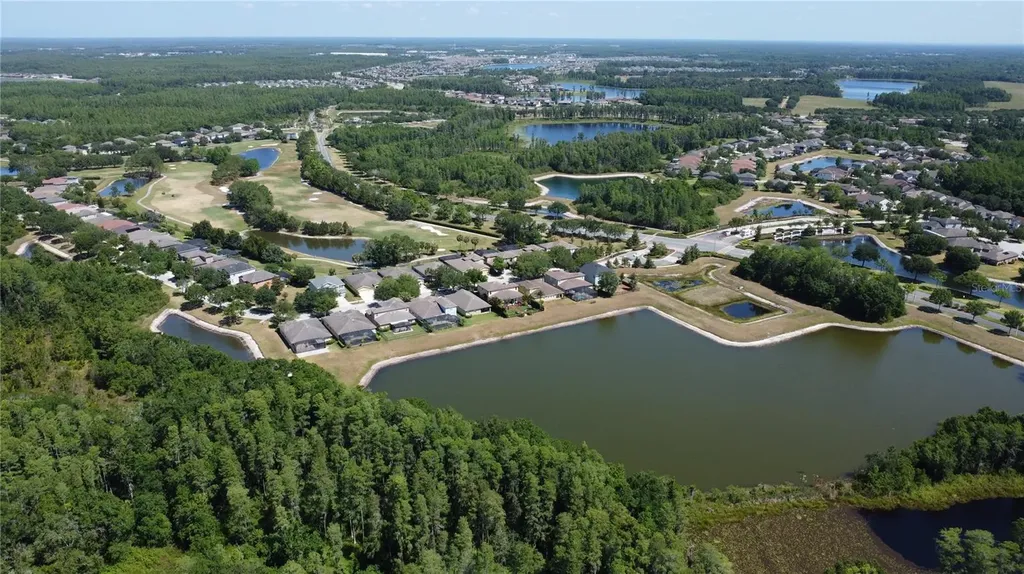 3814 Evergreen Oaks Drive Lutz FL 33558