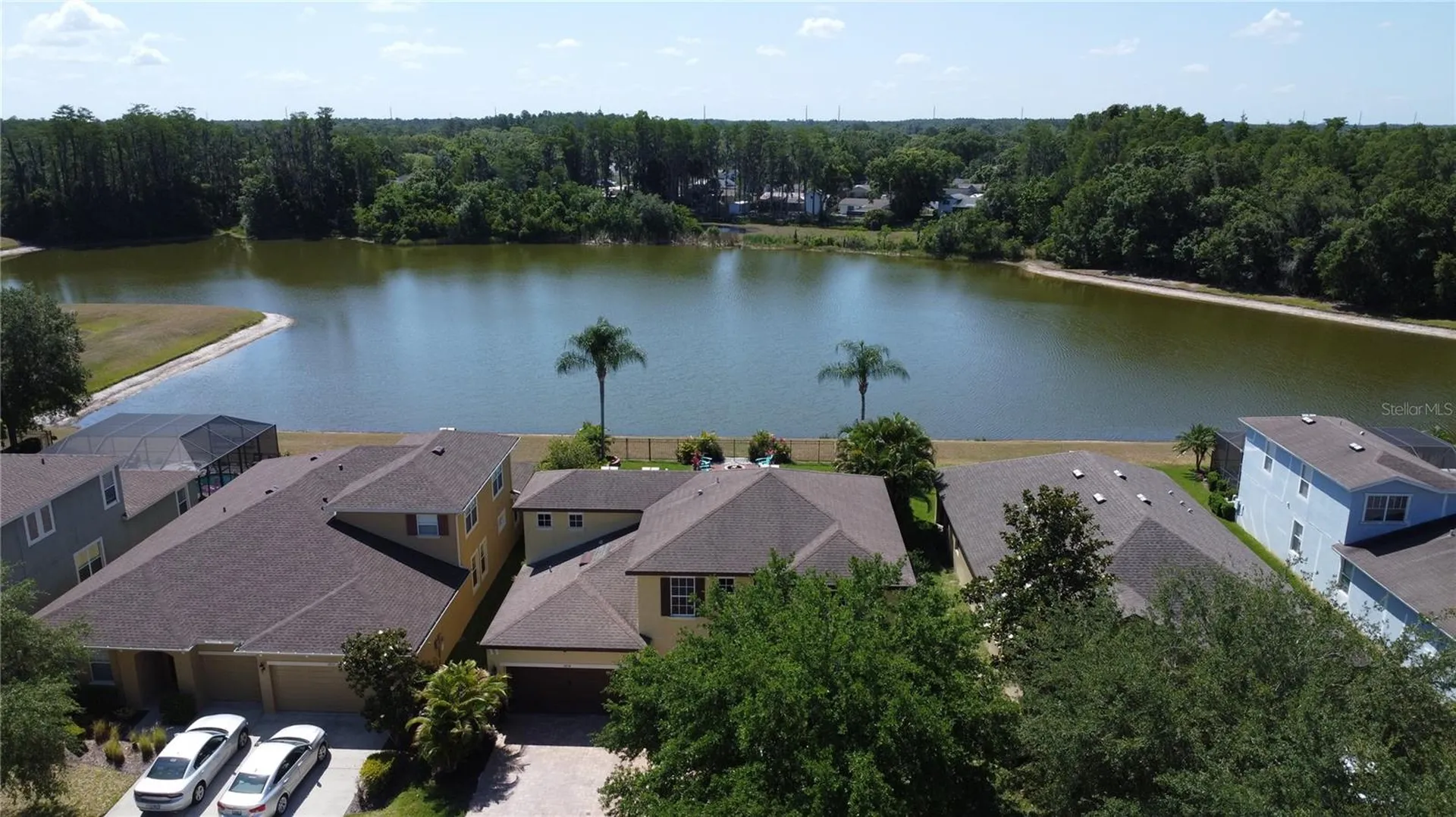 3814 Evergreen Oaks Drive Lutz FL 33558
