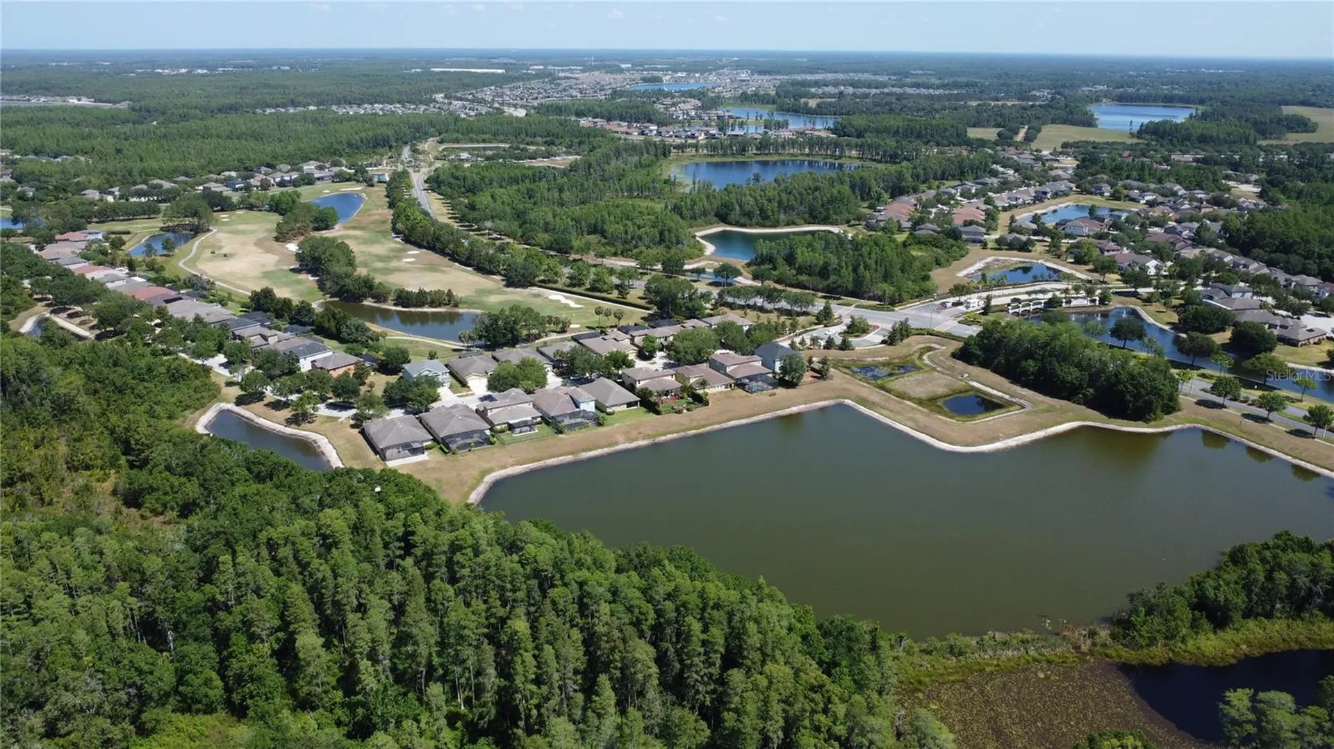 3814 Evergreen Oaks Drive Lutz FL 33558