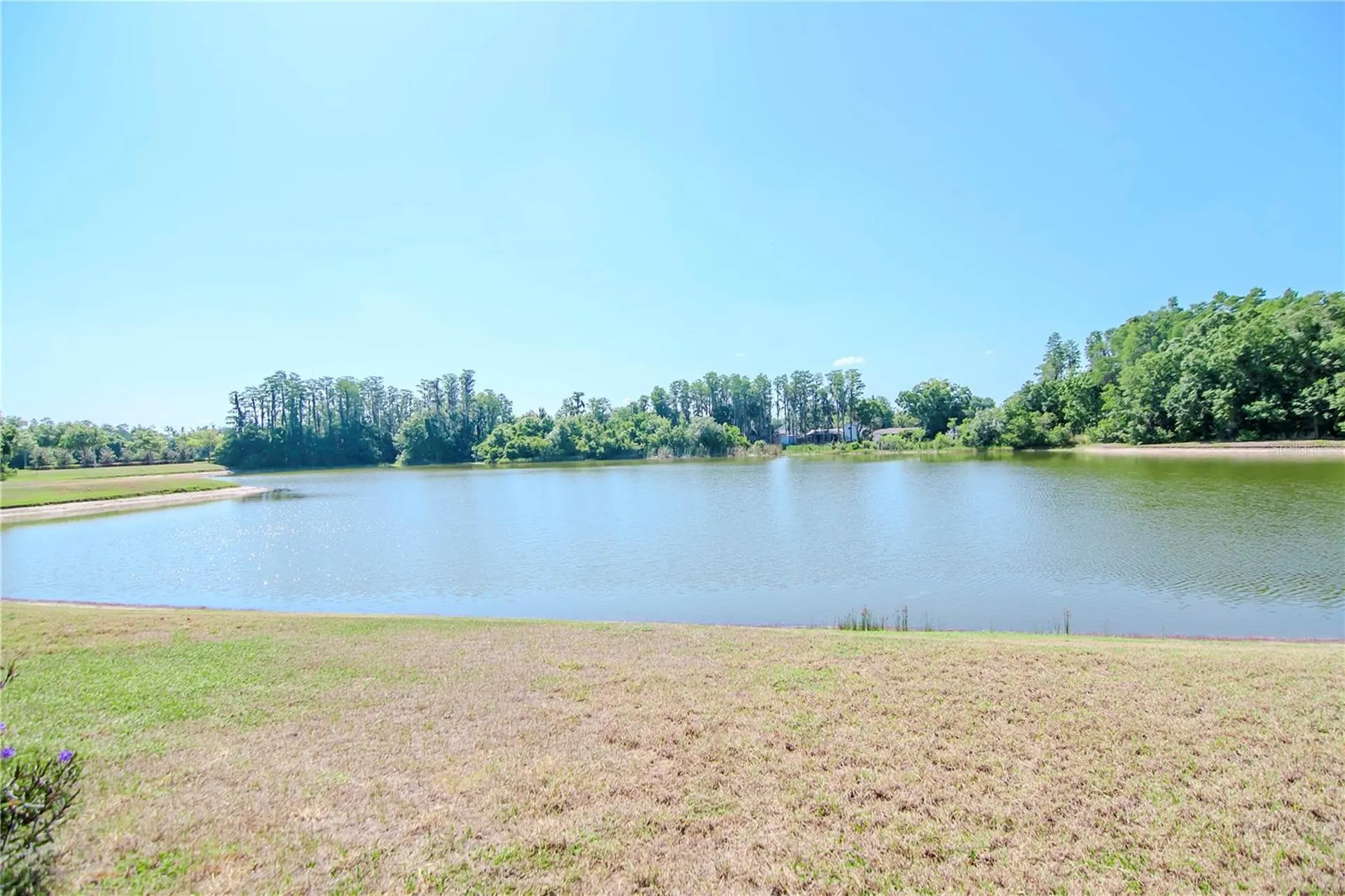 3814 Evergreen Oaks Drive Lutz FL 33558