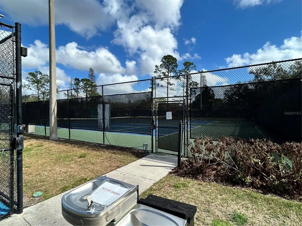 15020 Eaglerise Drive Lithia FL 33547