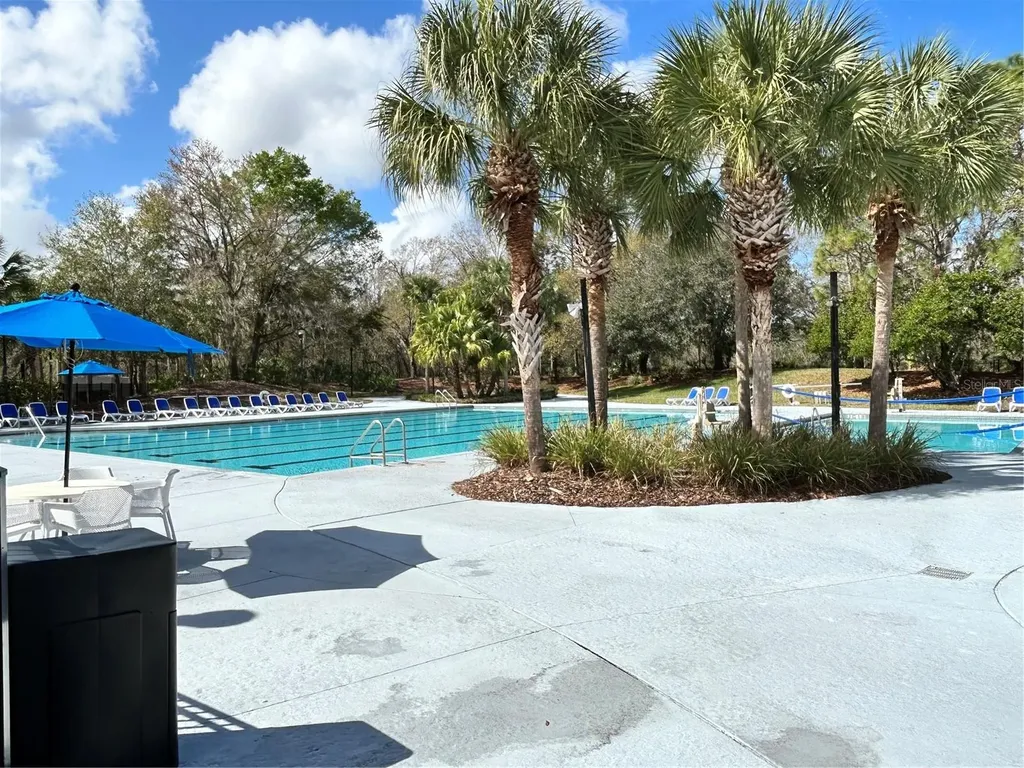 15020 Eaglerise Drive Lithia FL 33547