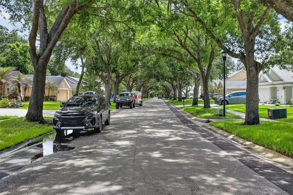 15020 Eaglerise Drive Lithia FL 33547
