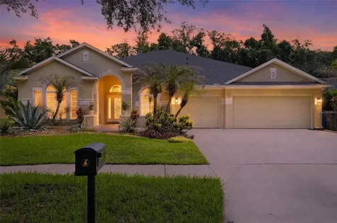 15020 Eaglerise Drive Lithia FL 33547